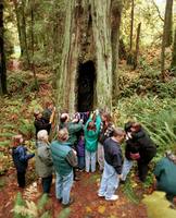 At the tree that was his special sanctuary, Dale's celebrants tie ribbons and leaves as part of his memorial service.