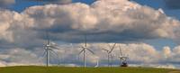 Wind-powered turbines outside Pincher Creek, Alberta. 