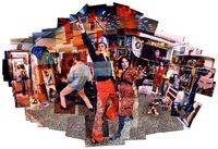 Polyester Fever